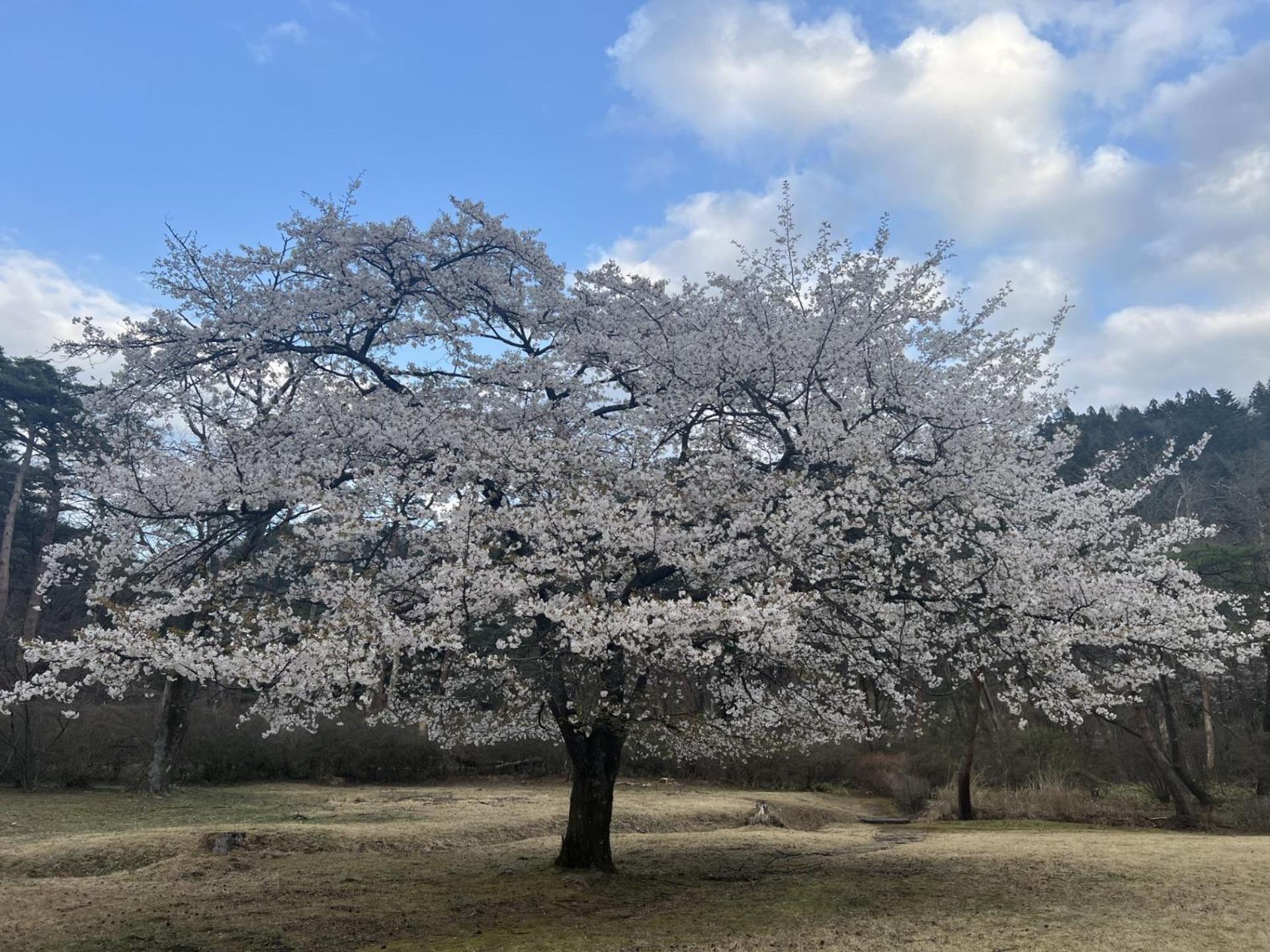 Hotel Kinugawa Keisui Nikko Exteriér fotografie