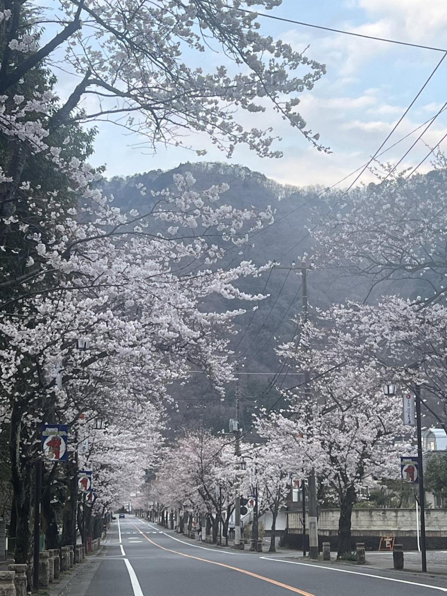 Hotel Kinugawa Keisui Nikko Exteriér fotografie