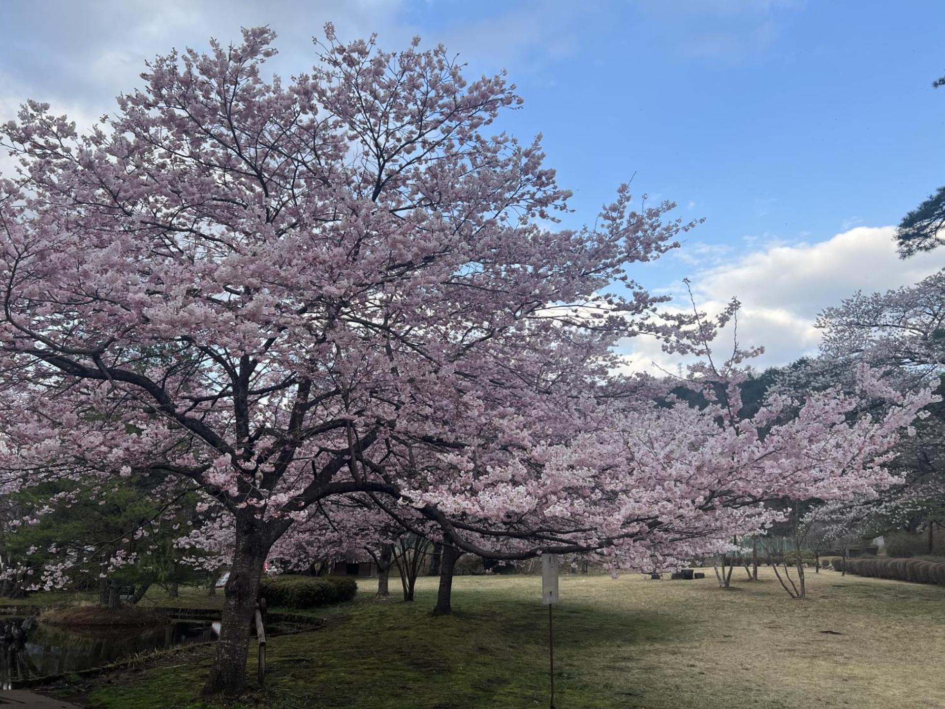 Hotel Kinugawa Keisui Nikko Exteriér fotografie